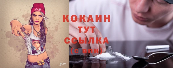mix Бородино