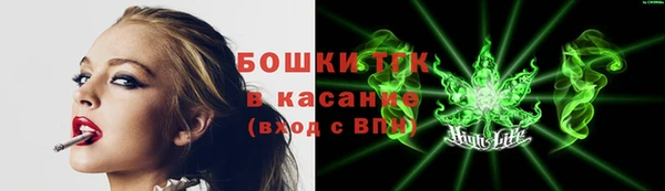 mix Бородино
