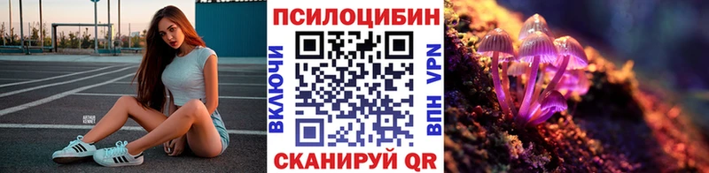 Купить закладки  Верхнеуральск  Галлюциногенные грибы мицелий 